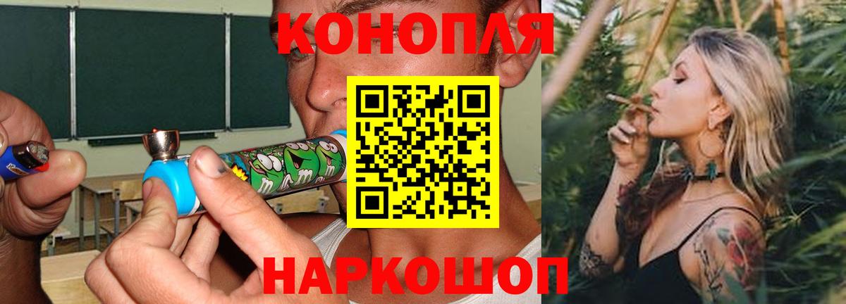 Бошки Шишки MAZAR Краснознаменск